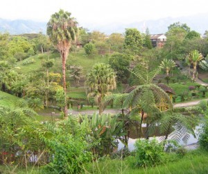 Parque de la Vida Fuente: panoramio-freddyarenas