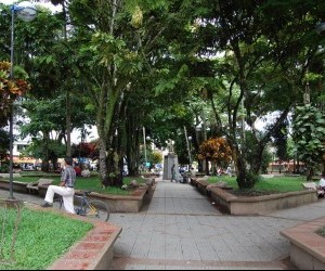 Parque la Tebaida Fuente: panoramio-giovafuentes